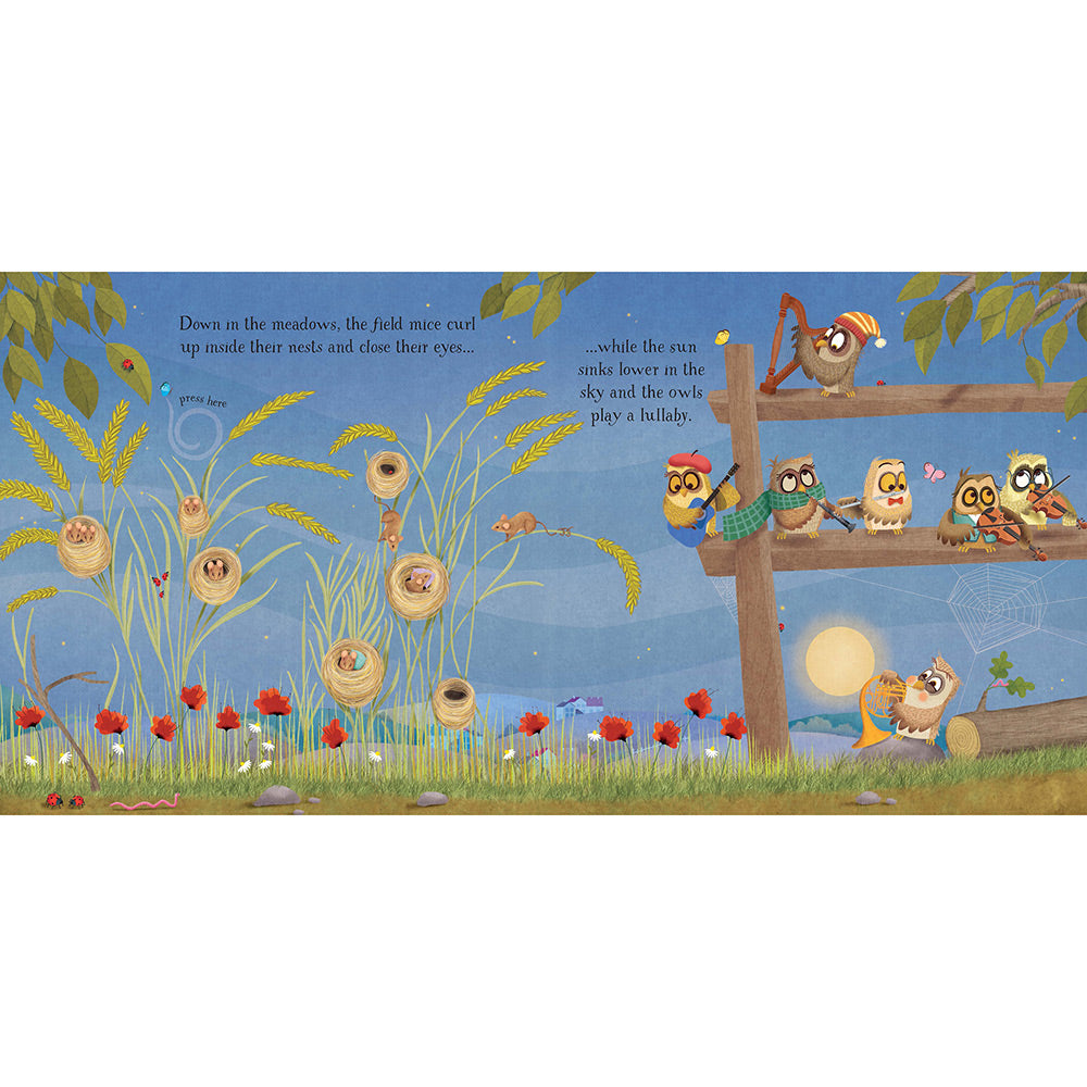 Baby's Bedtime Music Book - Musical Books (Board book)