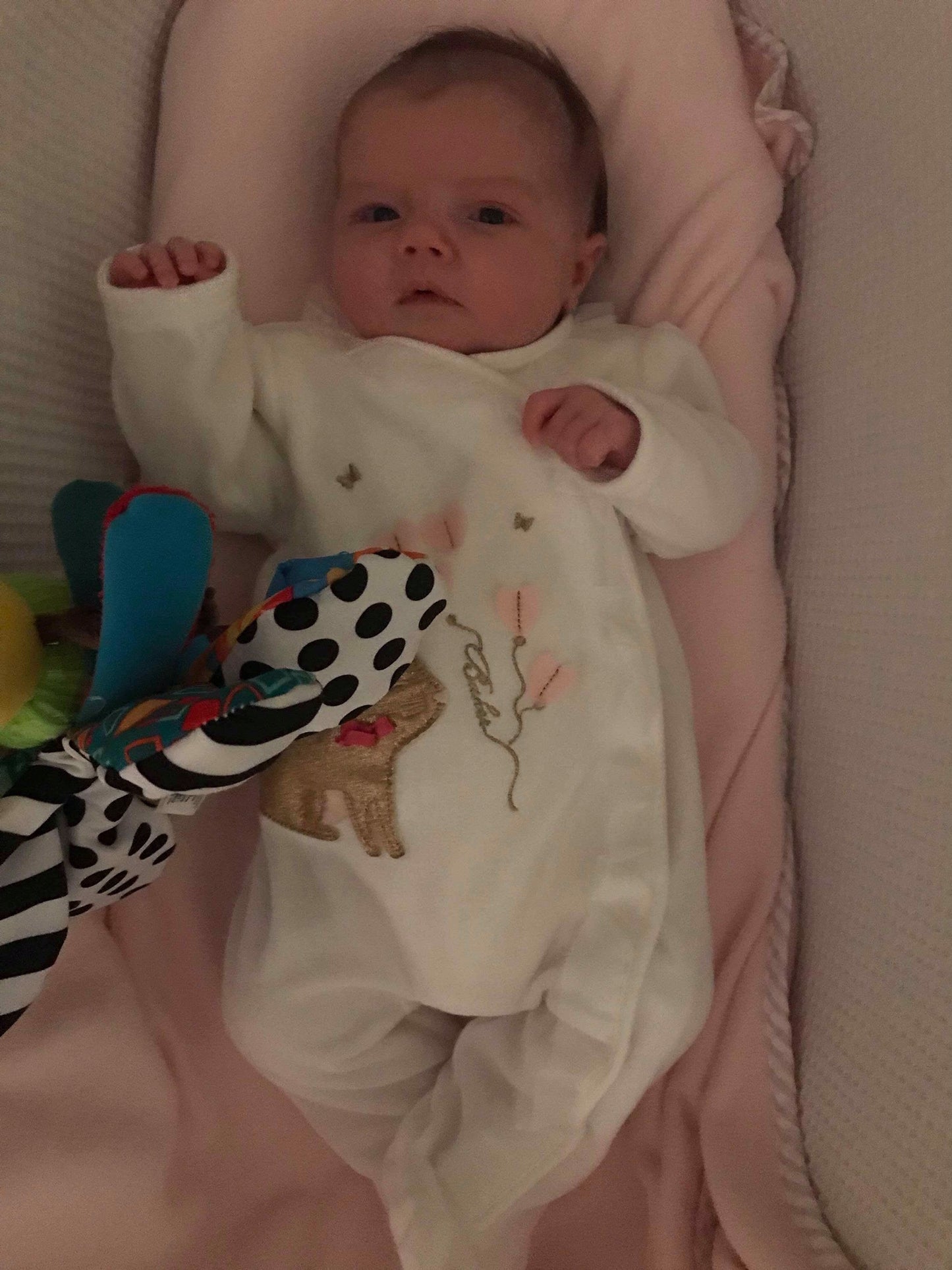 Lamaze Freddie The Firefly