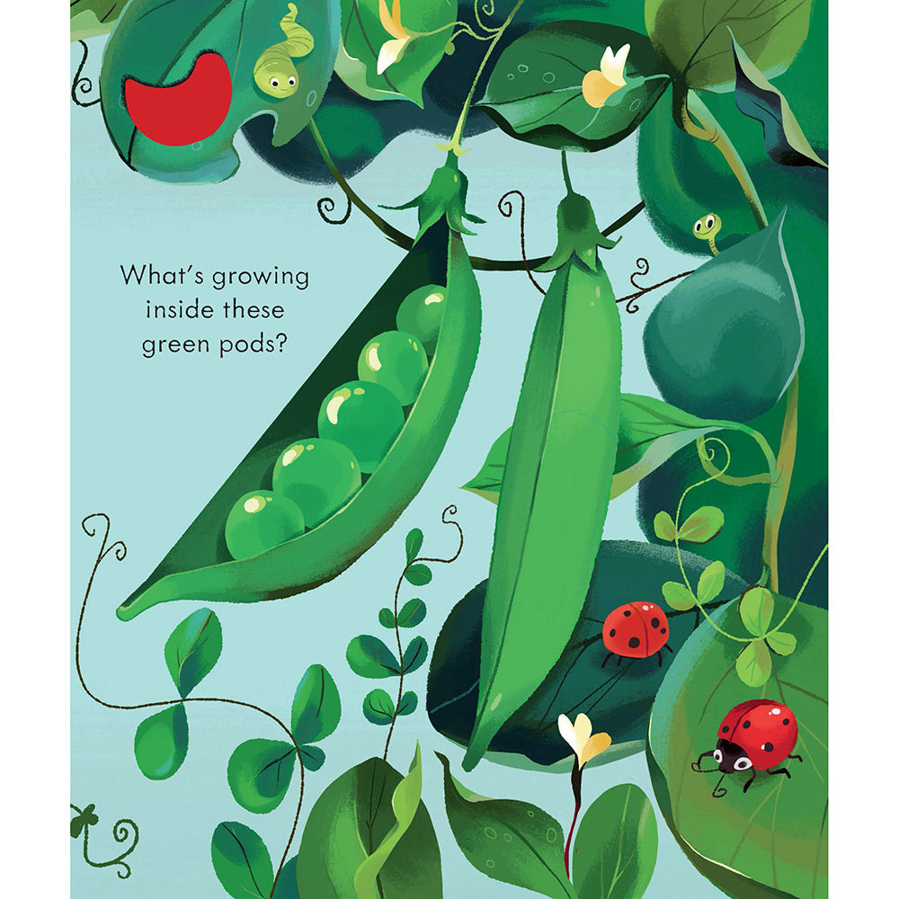 Peep Inside the Farm (Board book)