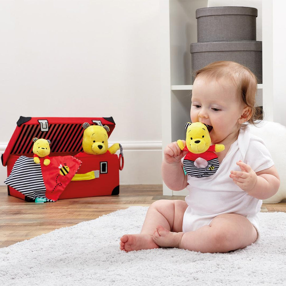 Winnie the Pooh A New Adventure Ring Rattle