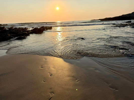 A Little Summer Update: Cornwall Memories, Family Life & New Arrivals