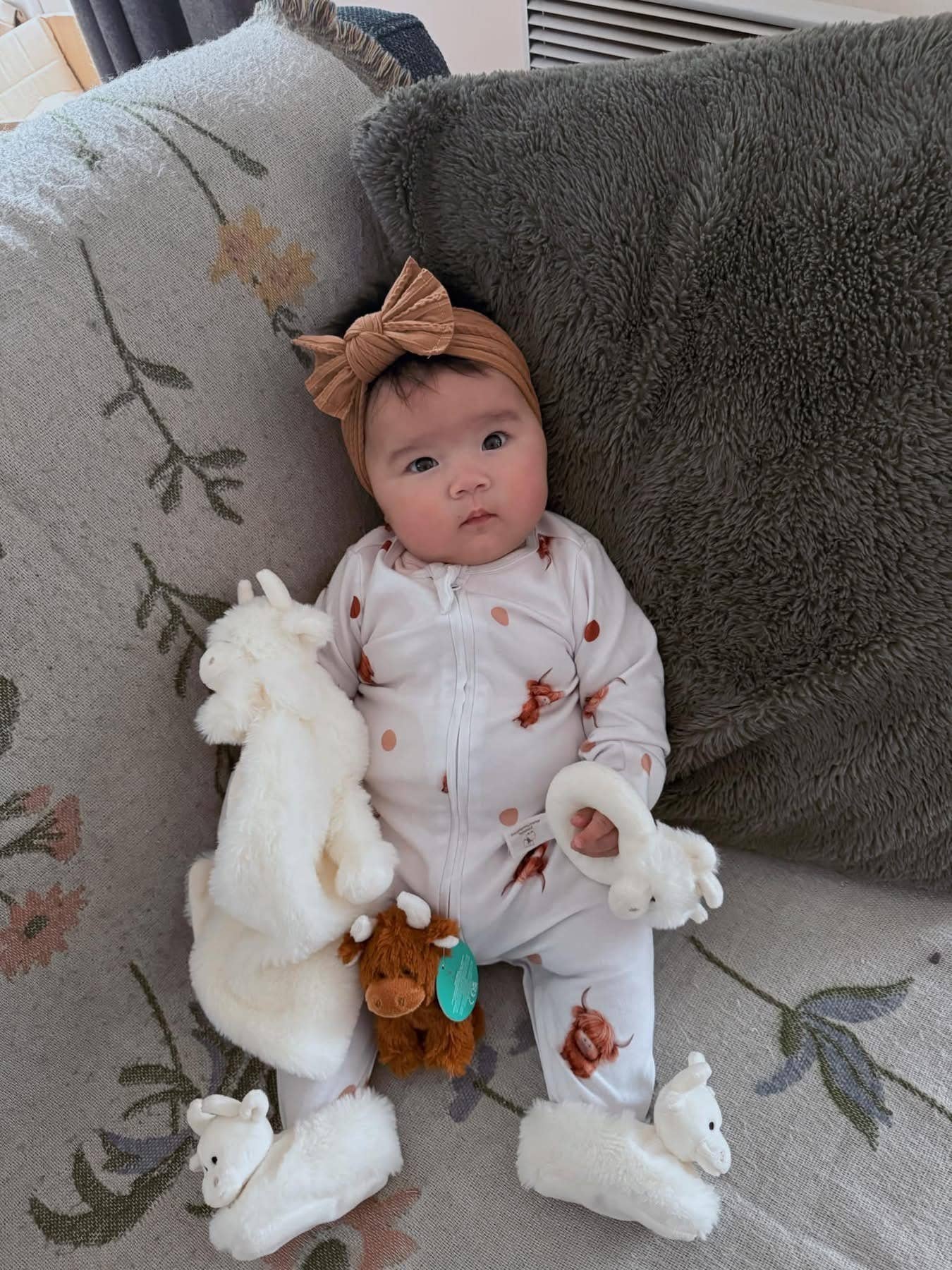 Brown Highland Cow Plush Baby Soft Mini Toy - 11cm