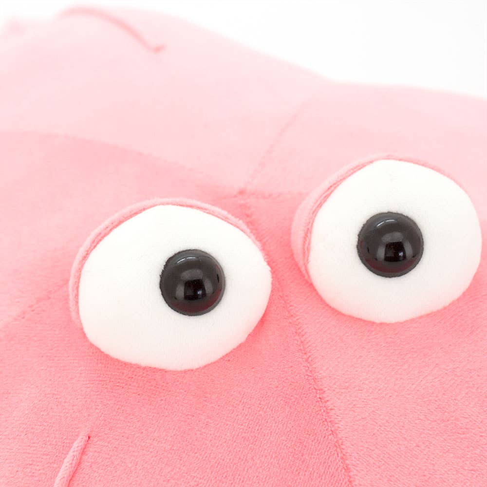 Pink Starfish Plush 80cm