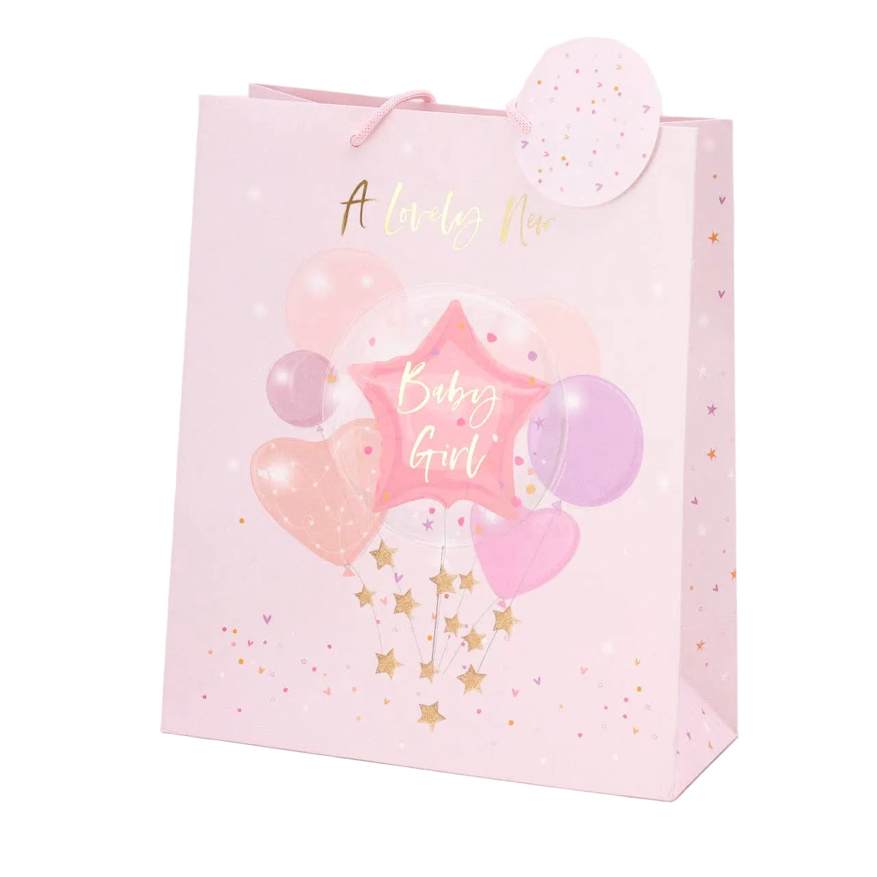 Baby Girl Portrait Gift Bag
