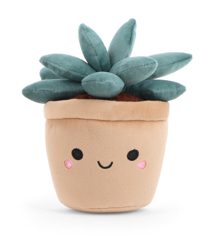 Botanical Garden Succulent Soft Toy 14cm