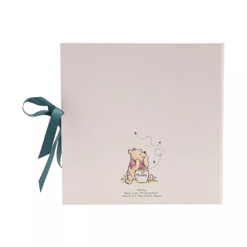 Disney Winnie The Pooh First Year Record Book