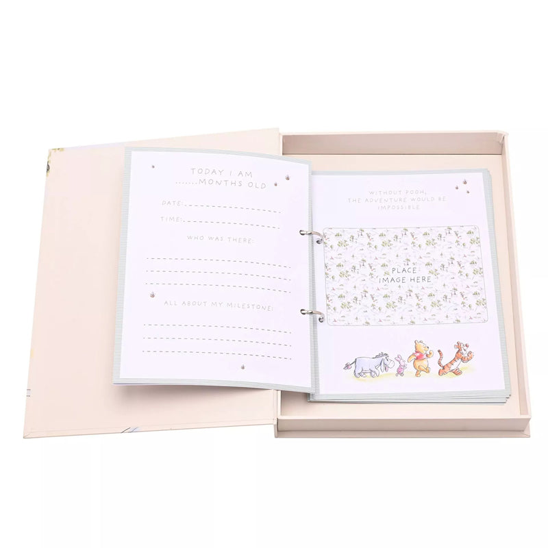 Disney Winnie The Pooh Milestone Keepsake Set