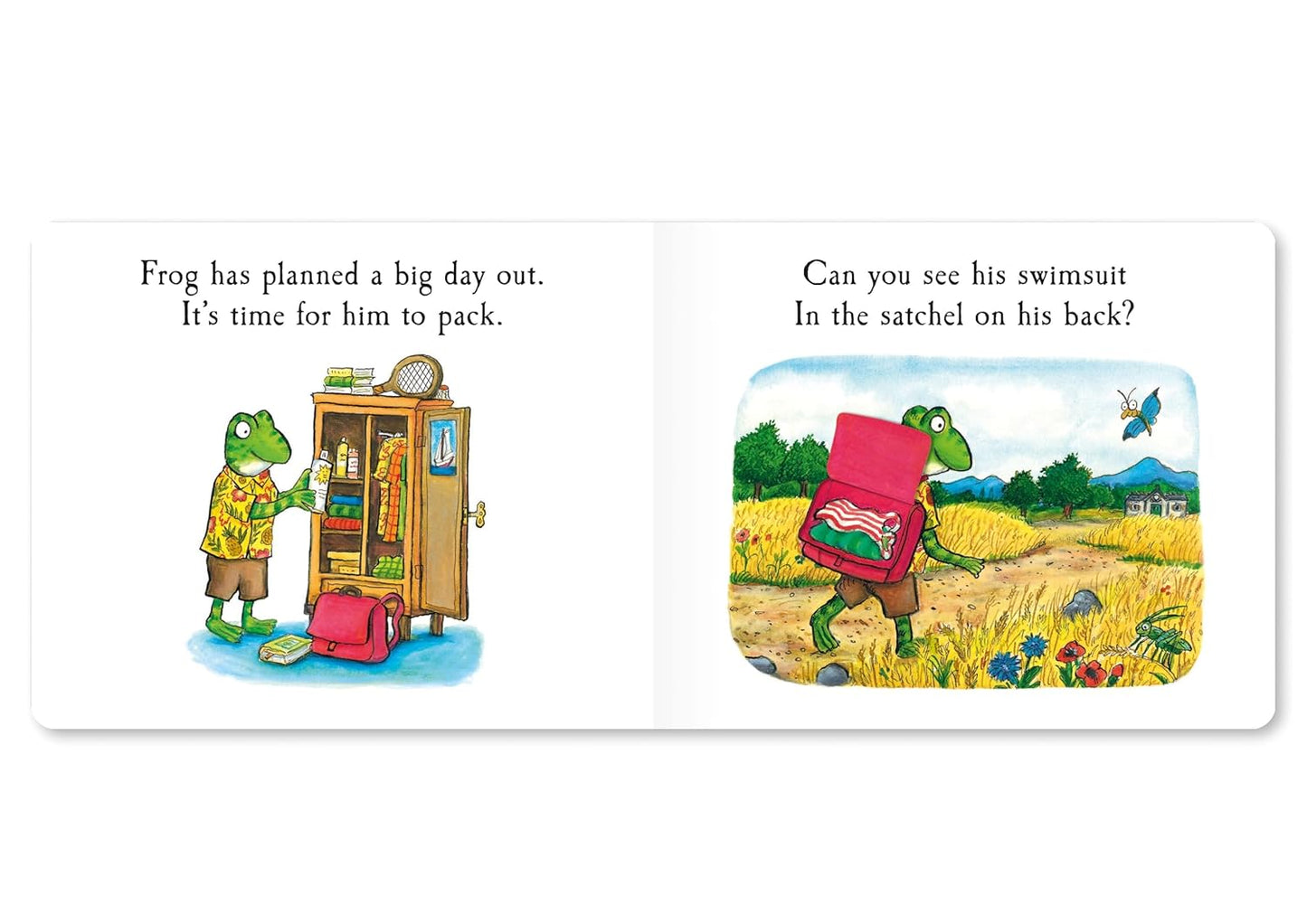 Tales from Acorn Wood: Frog's Day Out: A Lift-the-flap Story (Board Book)