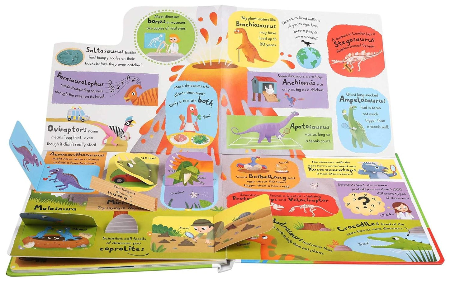 Giant Dinosaurs - First Facts and Flaps (Board book)