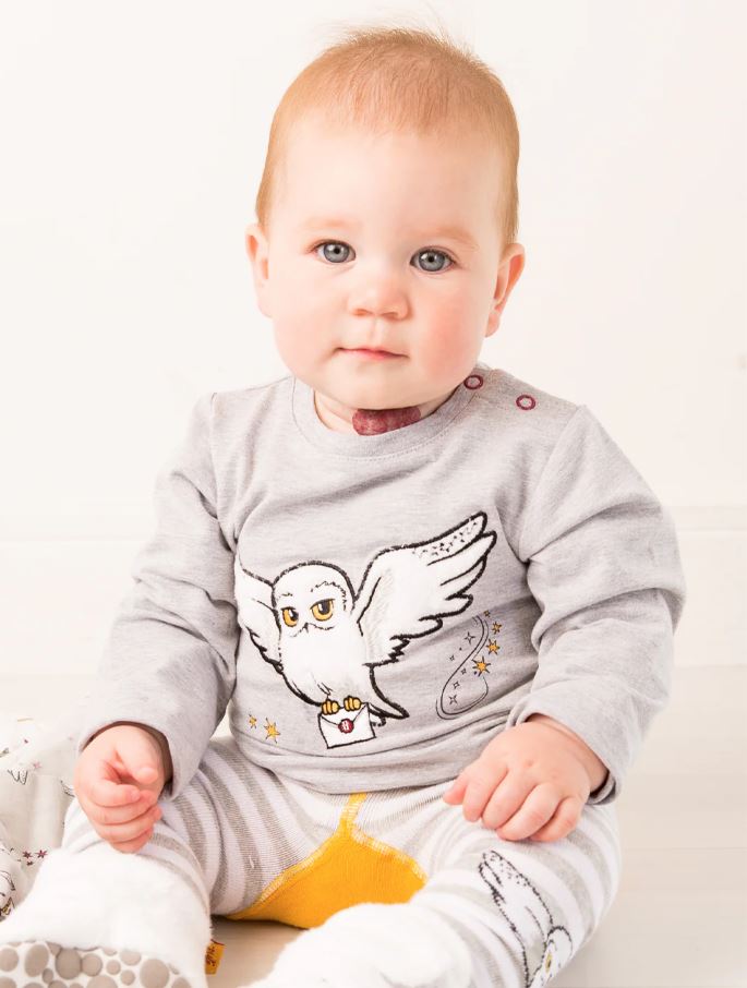 Harry Potter Hedwig Top