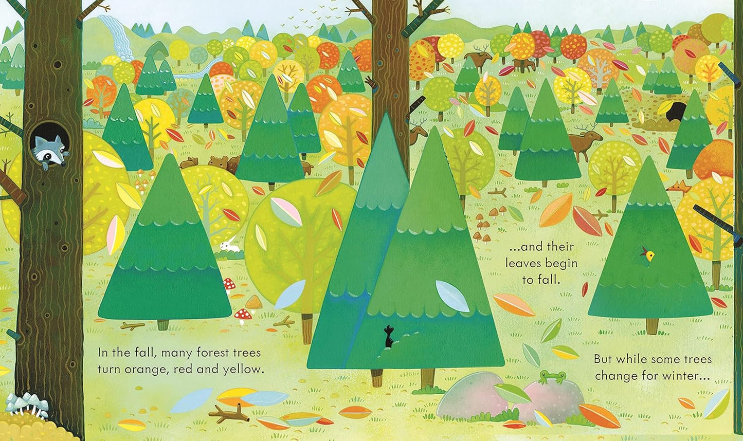 Peep Inside the Forest (Board book)