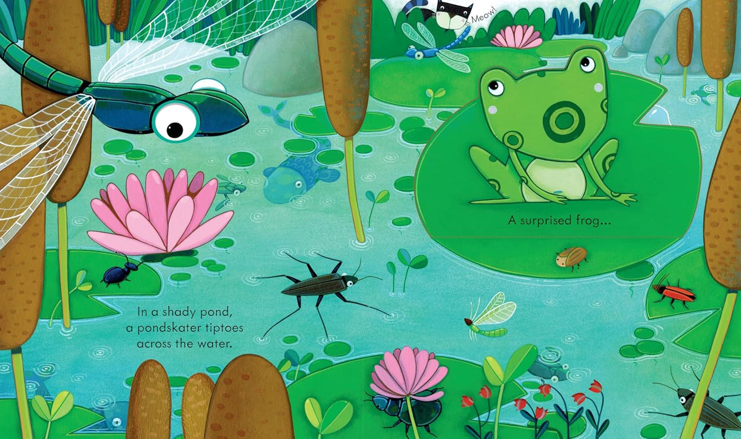 Peep Inside the Garden (Board book)