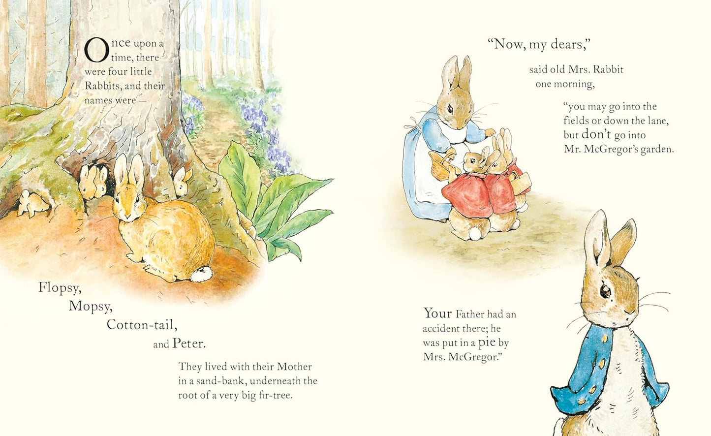 Peter Rabbit: Book and Toy Gift Set