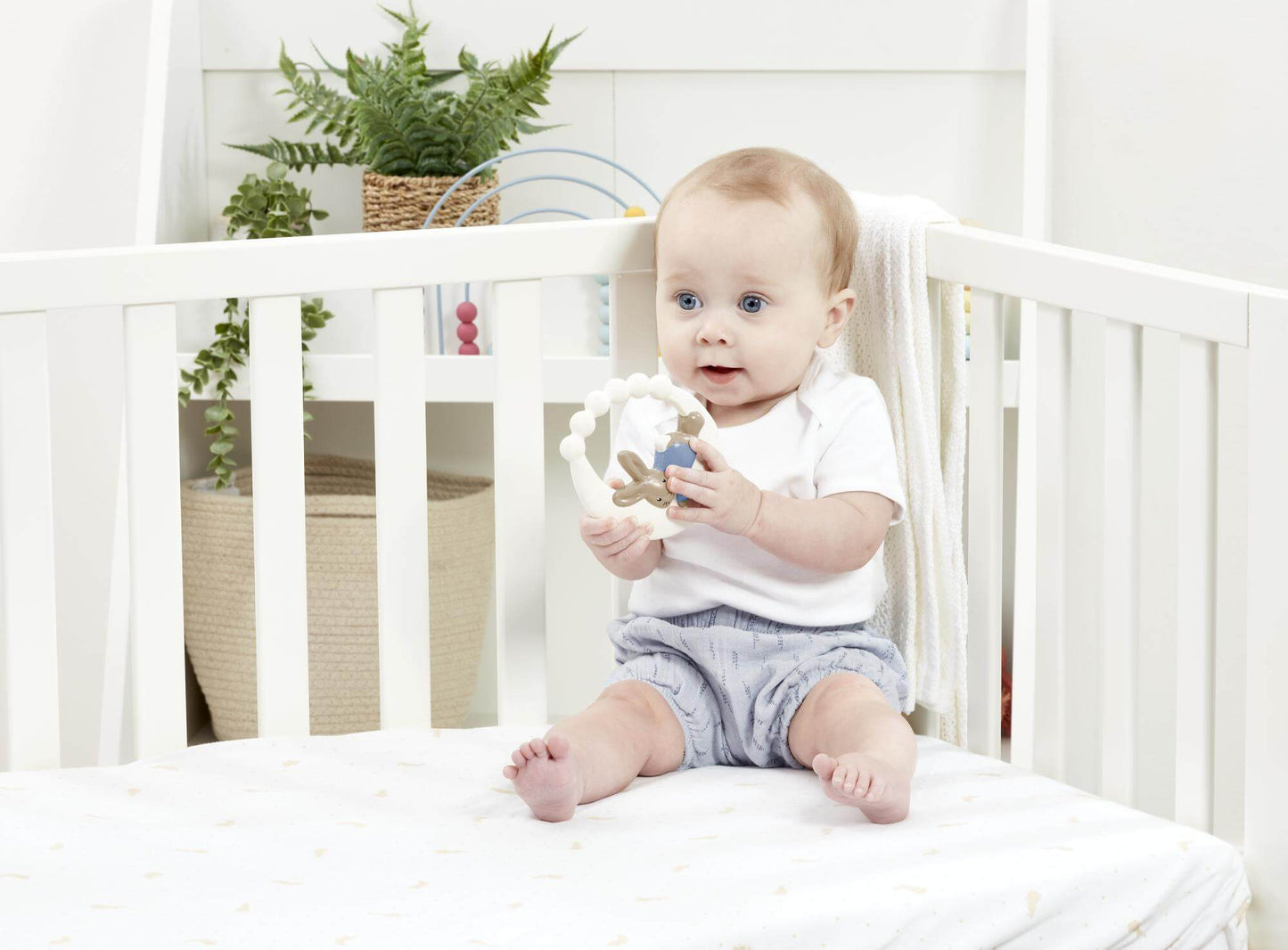 Peter Rabbit Signature Rubber Teether