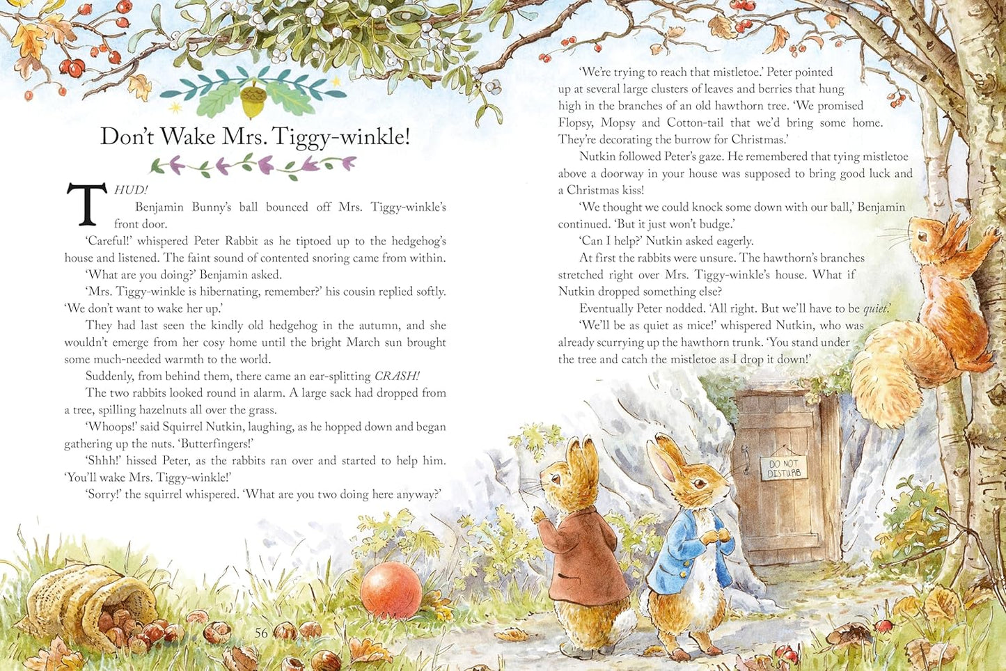 Peter Rabbit: Tales for Bedtime (hard back)