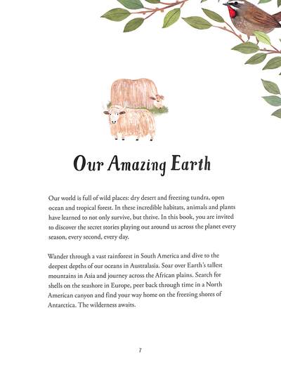 Stories From the Wild (Hardback)