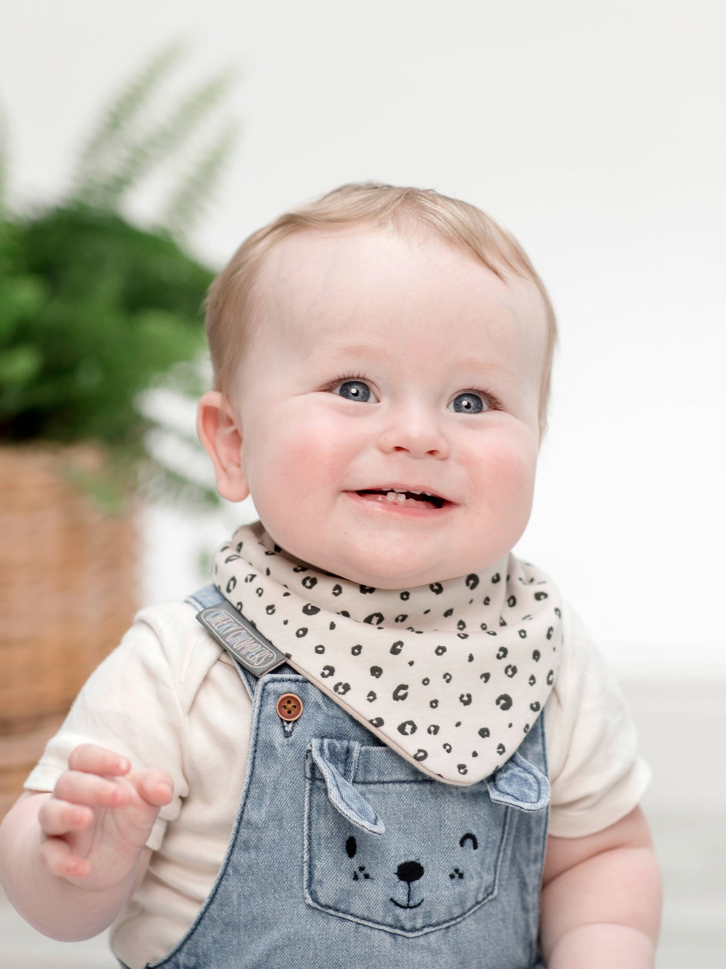 Neckerbib Dribble Bib Set - Leopard & rainbow