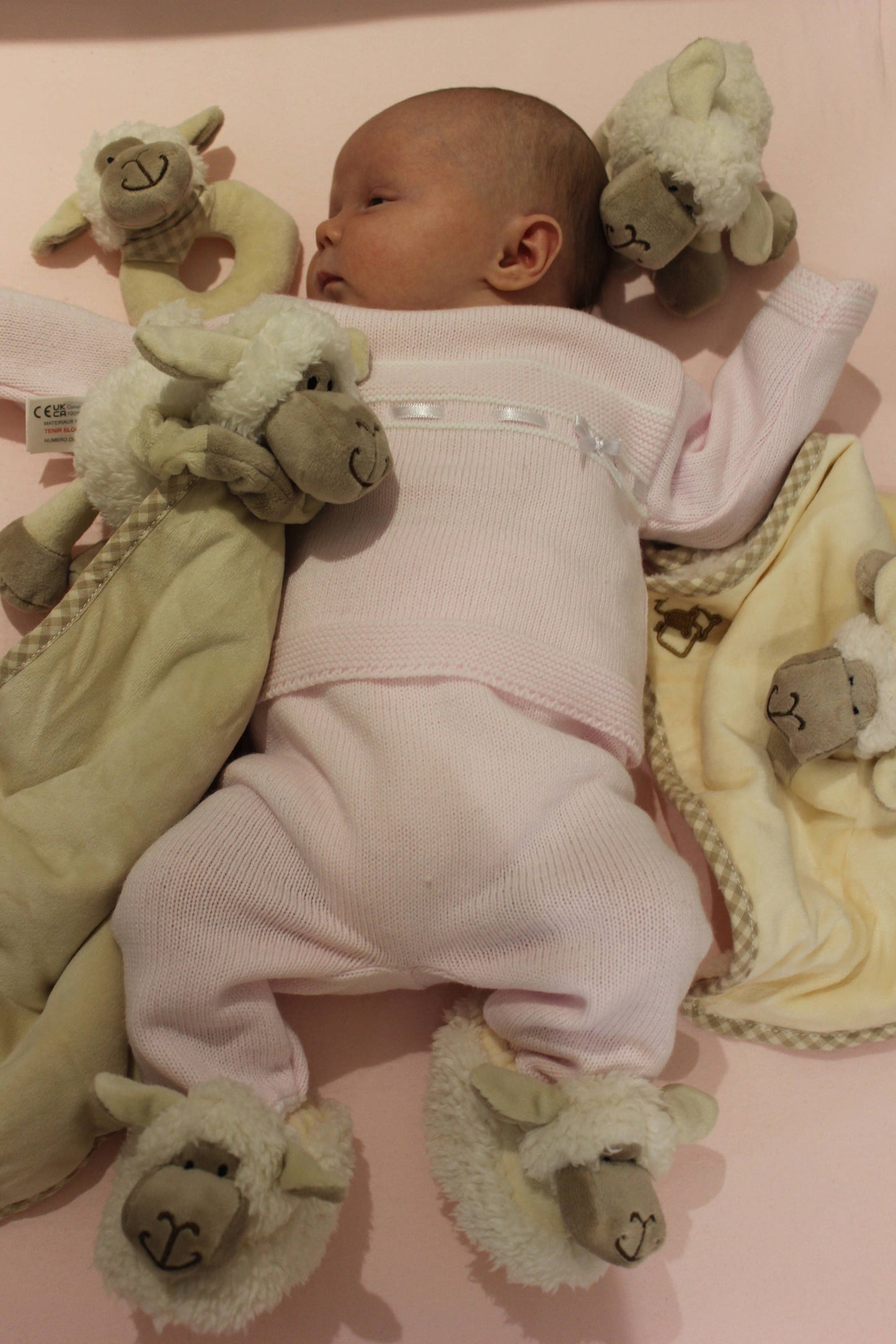 Sheep Soft Plush Baby Slippers House Shoes