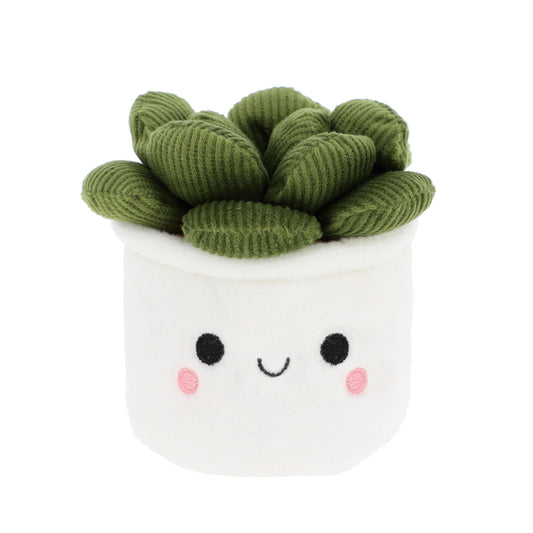 Plant Bobballs -  Jade Succulent