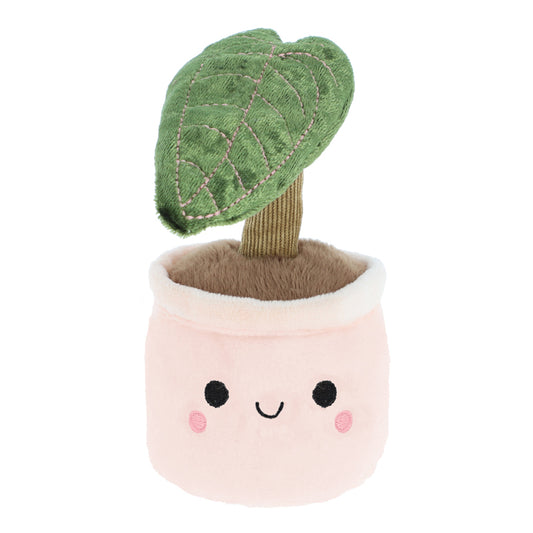 Plant Bobballs - Elephant Ear