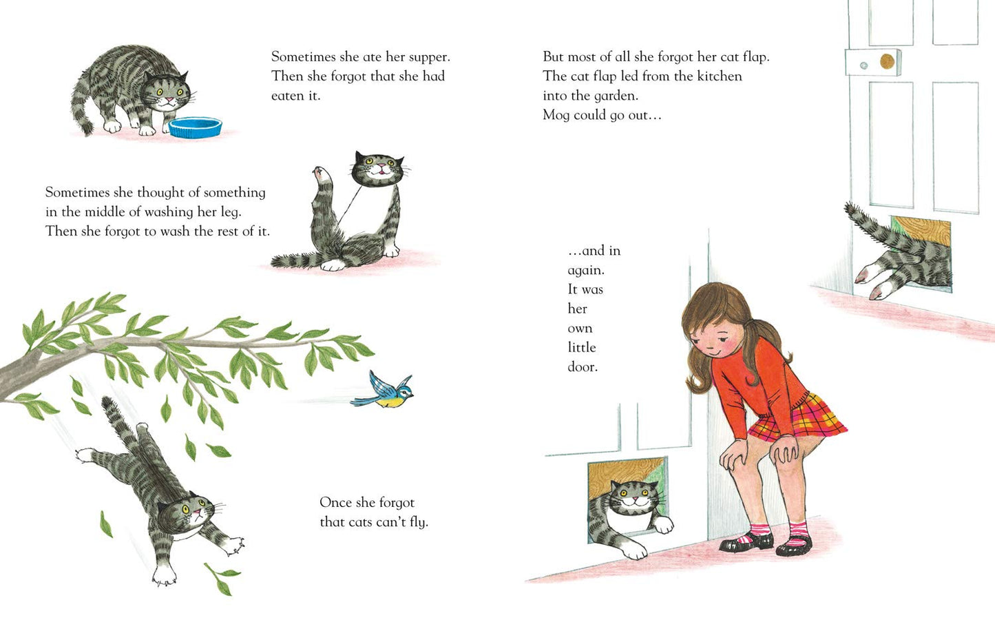Mog the Forgetful Cat (Paperback)