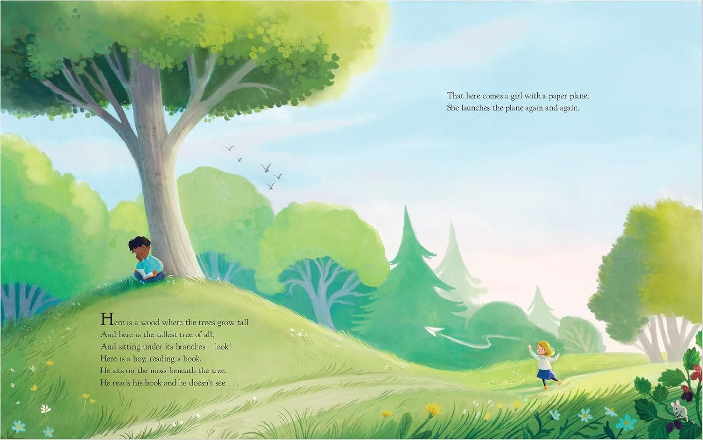 Paper Chase (Hardback)