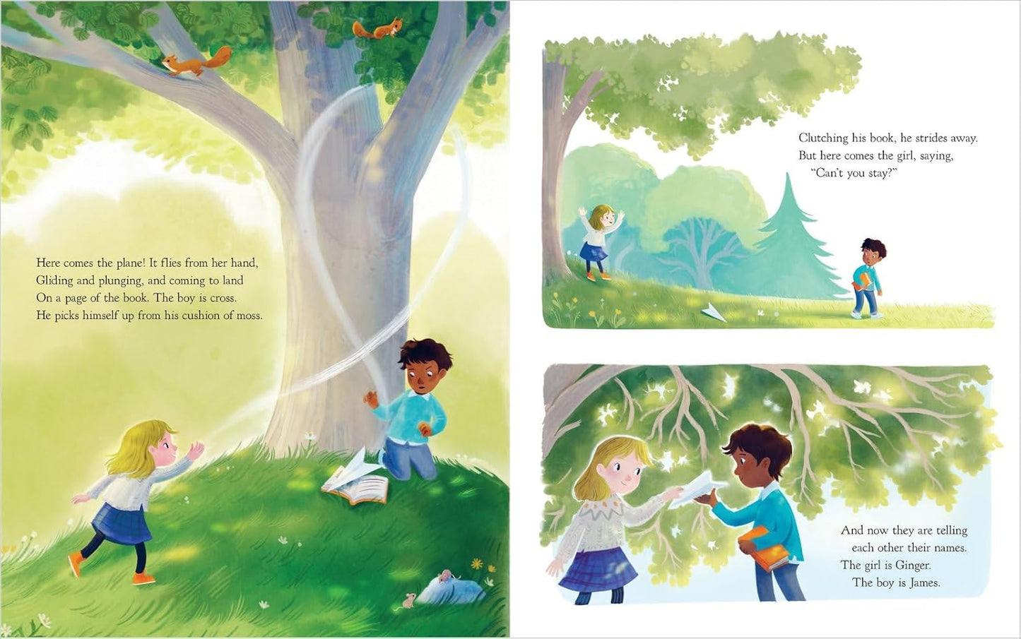 Paper Chase (Hardback)