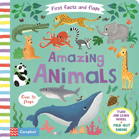 Amazing Animals - First Facts and Flaps (Board book)