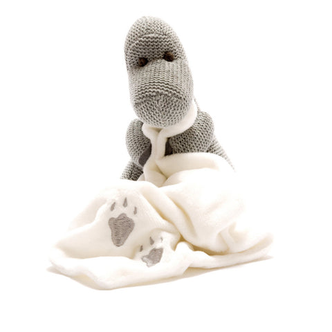 Knitted Grey Diplodocus Dinosaur With Blanket