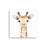 Thin canvas - Baby Giraffe
